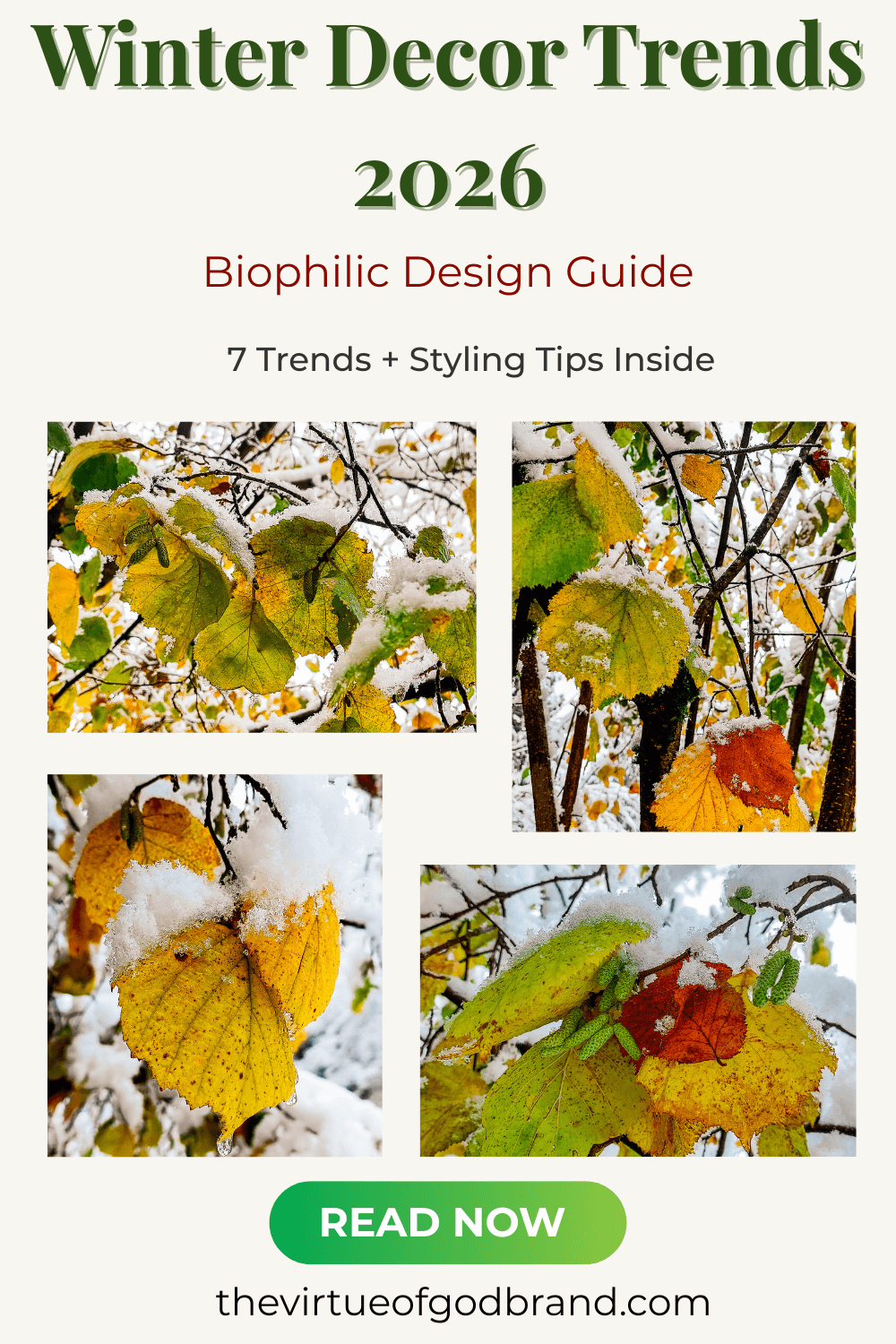 winter decor trends showing original photography set