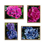 Purple & Pink Hydrangea Closeup Photography Unframed Canvas Set of 4 Prints | Modern Nature Wall Art for Home Office Decor | Elegant Gift