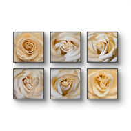 Pale Yellow Rose Canvas Prints Set of 6 - Authentic Nature Closeup Photography - Unframed Square Botanical Wall Art - Biophilic Home Office Decor - Modern Floral Art