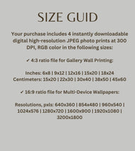 Digital 2 Prints Set 3x4 & 16x9 Ratios | Pink Roses with Raindrops Authentic Macro Photography | Instant Download for Home Wall Art Décor & Multi-Device Wallpapers