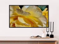 Digital 2 Prints 4x3 & 16x9 Ratios | Yellow Rose Flowers Authentic Macro Photography | Instant Download for Home Wall Art Decor & Multi-Device Wallpapers