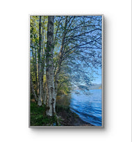 Tranquil Birch Trees by Mountain Lake Original Photography Wall Art Décor for Living Room, Office, or Cabin-Vertical Unframed Canvas Print