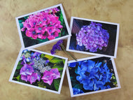 Greeting / Note Cards with Envelopes Featuring Vibrant Hydrangea Blossoms Original Photography | Blank 4 Cards Set 6.25x4.5 in, 8.5x5.5 in