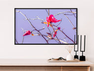 Digital 2 Prints Set 3x4 & 16x9 Ratios | Spring Pink Magnolia Authentic Photography | Instant Download for Home Wall Art Décor & Multi-Device Wallpapers