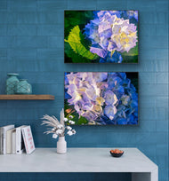 Blue Hydrangea in Sunset Canvas Print Set of 2 | Authentic Nature Photography Wall Art | Horizontal Unframed Canvas | Biophilic Home Décor