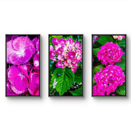 Pink Hydrangea Close-Up Nature Photography | Vertical Unframed Canvas Wall Art Set of 3 | Elegant Floral Print for Home, Office, or Gift