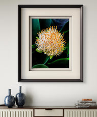 Vibrant Tropical Flower | Authentic Nature Closeup Photography Print | Vertical Unframed Canvas Wall Art for Biophilic Home Office Décor