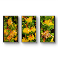 Yellow Flowers with Raindrops Photography | Set of 3 Vertical Unframed Canvas Prints | Nature Wall Art for Home & Office