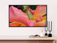 Digital 2 Prints Set 3x4 & 16x9 Ratios | Pink Roses with Raindrops Authentic Macro Photography | Instant Download for Home Wall Art Décor & Multi-Device Wallpapers