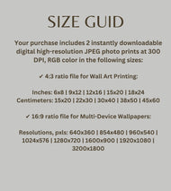 Digital 2 Prints 4x3 & 16x9 Ratios | Yellow Rose Flowers Authentic Macro Photography | Instant Download for Home Wall Art Decor & Multi-Device Wallpapers