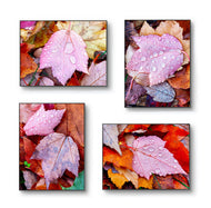 Autumn Pink Leaves Authentic Macro Photography | Unstretched Canvas Print Set of 4 | Mixed Orientation Wall Art