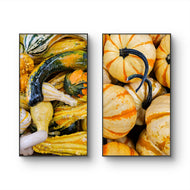 Autumn Pumpkin Authentic Closeup Photography on Unstretched Canvas | Vertical Print Set of 2 | Biophilic Harvest Wall Art | Home & Office Decor