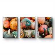Autumn Pumpkin Canvas Set of 3 - Authentic Closeup Photography - Unstretched Vertical Prints - Biophilic Home Wall Art - Fall Harvest Decor