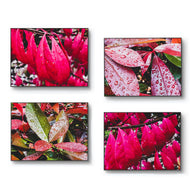Autumn Rain Red Leaves Authentic Macro Photography | Unstretched Canvas Horizontal Print Set of 4 | Biophilic Wall Art Decor
