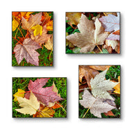 Autumn Rain Vibrant Leaves Authentic Macro Photography | Unstretched Canvas Print Set of 4 | Mixed Orientation Wall Art