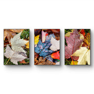 Autumn Rain Vibrant Leaves Authentic Macro Photography | Unstretched Canvas Vertical Print Set of 3 | Biophilic Wall Art Décor
