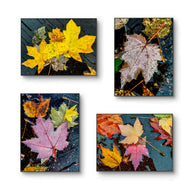 Autumn Rainy Vibrant Leaves Botanical Wall Art - Authentic Closeup Photography Unframed Canvas Prints Set of 4 - Biophilic Home & Office Decor