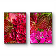 Autumn Red Hydrangea with Raindrops Canvas Wall Art | Authentic Macro Photography | Unframed Vertical Prints Set of 2 | Biophilic Style Décor