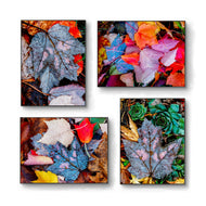Autumn Vibrant Leaves Authentic Closeup Photography | Unstretched Nature Canvas Prints Set of 4 | Biophilic Wall Art Decor | Multiple Sizes Available