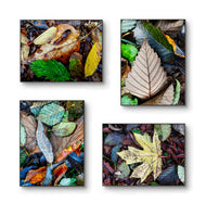 Autumn Vibrant Leaves Authentic Macro Photography | Unstretched Canvas Prints Set of 4 Mixed Orientation | Biophilic Home & Office Wall Art