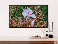 Digital 4 Prints 4x3 & 16x9 Ratios | White Summer Flowers Authentic Macro Photography | Instant Download for Home Wall Art Décor & Multi-Device Wallpapers