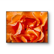 Orange Rose Petals with Raindrops - Authentic Macro Photography - Unframed Canvas Horizontal Print - Biophilic Style Wall Art Decor