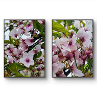 Pink Cherry Blossom Macro Photography Canvas Set of 2 | Unframed Vertical Prints | Biophilic Décor for Living Room, Bedroom & Office