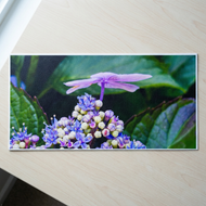 Summer Brilliance — Fairy Hydrangea | Purple Flower Macro Wall Art Set of 2 | Magical Summer Garden | Unframed Horizontal Canvas Prints
