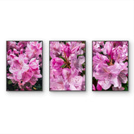 Rain-Kissed Pink Rhododendrons Canvas Wall Art Set of 3 | Pacific Northwest Macro Photography Vertical Prints | Botanical Décor for Home & Office