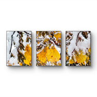 Winter Snowy Orange Leaves Authentic Macro Photography | Unframed Canvas Vertical Print Set of 3 | Biophilic Style Wall Art Decor | Holiday Gift