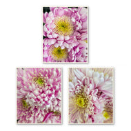 Spring Pink Flowers Canvas Wall Art Set of 3 | Unframed Vertical Macro Photography Prints | Biophilic Décor for Living Room, Bedroom & Office
