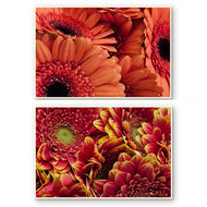 Spring Red Flowers Canvas Wall Art Set of 2 | Unframed Horizontal Macro Photography Prints | Biophilic Décor for Living Room, Bedroom & Office