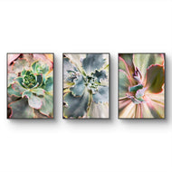 Spring Succulents Canvas Print Set of 3 | Bring Calm Indoors | Authentic Macro Photography | Biophilic Vertical Wall Art for Home Décor