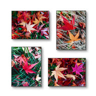Autumn Vibrant Leaves Authentic Macro Photography | Unstretched Canvas Prints Set of 4 Mixed Orientation Wall Art | Biophilic Style Decor