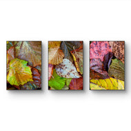 Autumn Vibrant Leaves Authentic Macro Photography | Unstretched Canvas Vertical Wall Art Set of 3 | Biophilic Nature Décor