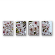 White Cherry Blossom Rain Photography Canvas Wall Art Set of 4 | Unframed Vertical Prints | Biophilic Décor for Living Room, Bedroom & Office