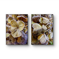 Winter Frosty Hydrangea Authentic Macro Photography | Nature's Calming Elegance | Unframed Canvas Vertical Print Set of 2 | Biophilic Wall Decor