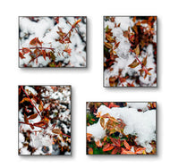 Winter Snowy Foliage Macro Photography 4 Print Set | Unframed Canvas Wall Art | Biophilic Horizontal Vertical Mixed Decor