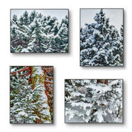 Winter Snowy Evergreen Trees Authentic Photography | Forest Serenity | Unframed Canvas Mixed Orientation Print Set of 4 | Biophilic Wall Decor