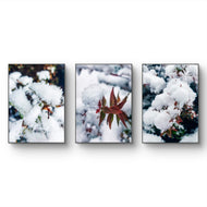 Winter Snowy Foliage Authentic Macro Photography | Unframed Canvas Vertical 3 Prints Set | Biophilic Style Wall Art Decor