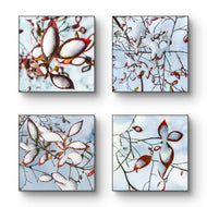 Winter Snowy Red Foliage Authentic Macro Photography | Unstretched Canvas Square Prints Set of 4 | Biophilic Style Wall Art Decor