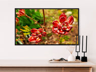 Digital 10 Prints Set | Red Rhododendron Flowers Macro Photography | Instant Download Wall Art