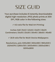 Digital 4 Prints 4x3 & 16x9 Ratios | Wetland Grass with Raindrops Authentic Macro Photography | Instant Download for Home Wall Art Decor & Multi-Device Wallpapers