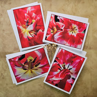 Greeting / Note Cards with Envelopes Featuring Red Tulip Flowers Original Macro Photography | Blank Floral Cards Set of 4