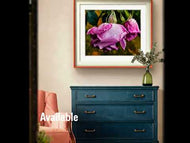 For Rose Lovers — Pink Rainy Roses Closeup Photography | Unframed Canvas Wall Art Set of 4 for Living Room