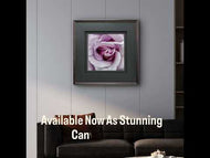 For Rose Lovers — Purple Rose Closeup Photography | Unframed Square Canvas Wall Art Print for Living Room