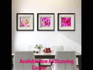 For Rose Lovers - Pink Roses Macro Photography | Unframed Square Canvas Wall Art Set of 4 for Living Room