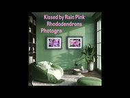 Kissed by Rain — Pink Rhododendrons with Raindrops | Canvas Wall Art Set of 4 | Pacific Northwest Macro Photography | Unframed Horizontal Prints | Biophilic Home Decor