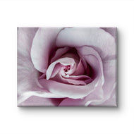 Purple Rose Macro Photography | Gallery Wrapped Canvas Horizontal Print | Authentic Nature Wall Art | Modern Home Office Decor