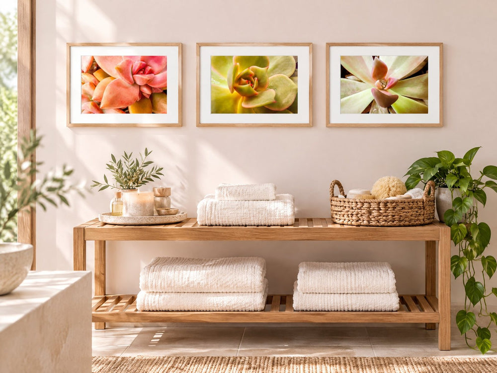 Soft Spring Succulents Canvas Wall Art Set of 3 — Unframed Horizontal Macro Photography Prints in a bath & spa — nature photograph by Martha Solo